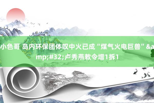 小色哥 岛内环保团体叹中火已成“煤气火电巨兽”&#32;卢秀燕敕令增1拆1