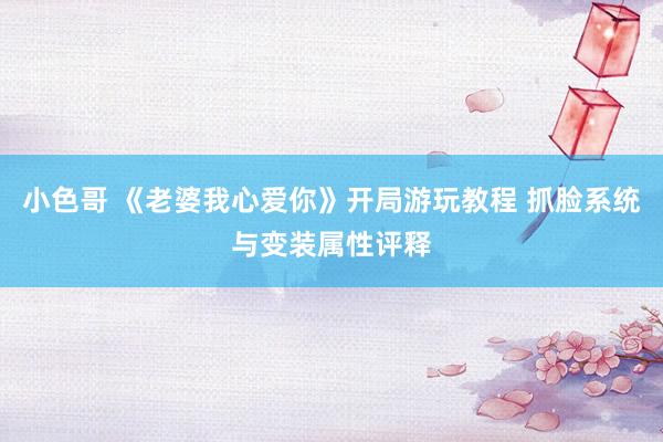 小色哥 《老婆我心爱你》开局游玩教程 抓脸系统与变装属性评释