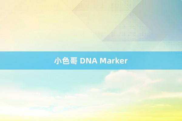 小色哥 DNA Marker