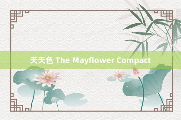 天天色 The Mayflower Compact