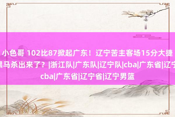 小色哥 102比87掀起广东！辽宁苦主客场15分大捷：CBA又一黑马杀出来了？|浙江队|广东队|辽宁队|cba|广东省|辽宁省|辽宁男篮