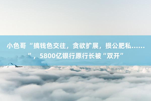 小色哥 “搞钱色交往，贪欲扩展，损公肥私......”，5800亿银行原行长被“双开”