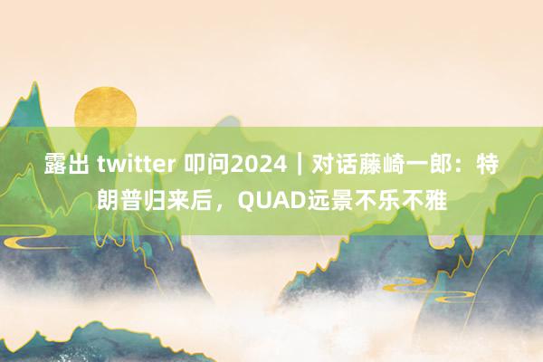 露出 twitter 叩问2024｜对话藤崎一郎：特朗普归来后，QUAD远景不乐不雅