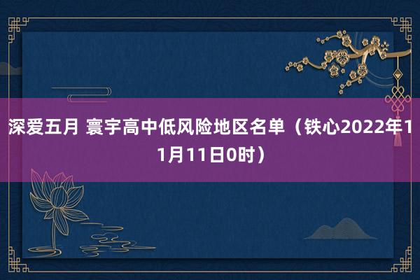 深爱五月 寰宇高中低风险地区名单（铁心2022年11月11日0时）