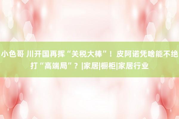 小色哥 川开国再挥“关税大棒”！皮阿诺凭啥能不绝打“高端局”？|家居|橱柜|家居行业