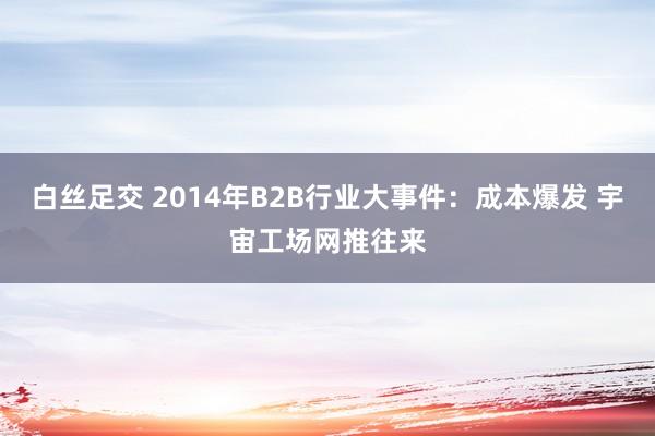 白丝足交 2014年B2B行业大事件：成本爆发 宇宙工场网推往来