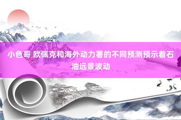 小色哥 欧佩克和海外动力署的不同预测预示着石油远景波动