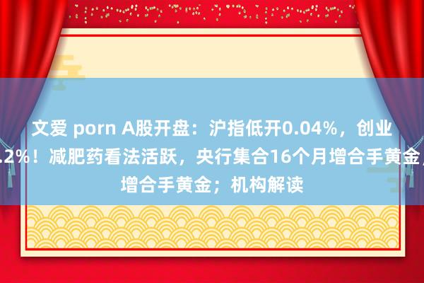 文爱 porn A股开盘：沪指低开0.04%，创业板指高开0.2%！减肥药看法活跃，央行集合16个月增合手黄金；机构解读