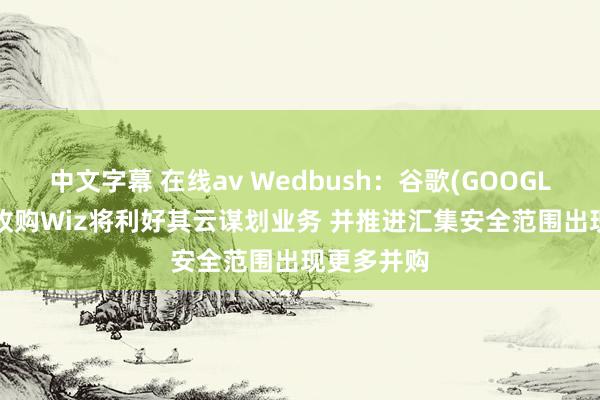 中文字幕 在线av Wedbush：谷歌(GOOGL.US)成效收购Wiz将利好其云谋划业务 并推进汇集安全范围出现更多并购