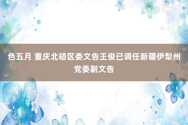 色五月 重庆北碚区委文告王俊已调任新疆伊犁州党委副文告