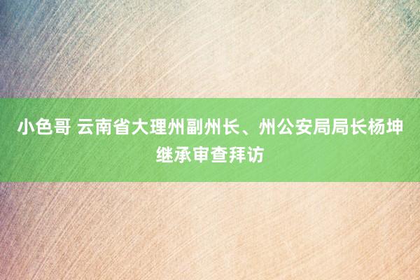 小色哥 云南省大理州副州长、州公安局局长杨坤继承审查拜访